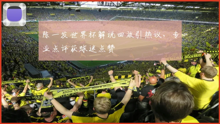 陈一发世界杯解说回放引热议，专业点评获球迷点赞