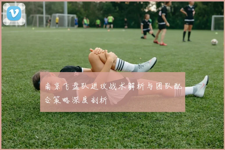 南京飞盘队进攻战术解析与团队配合策略深度剖析